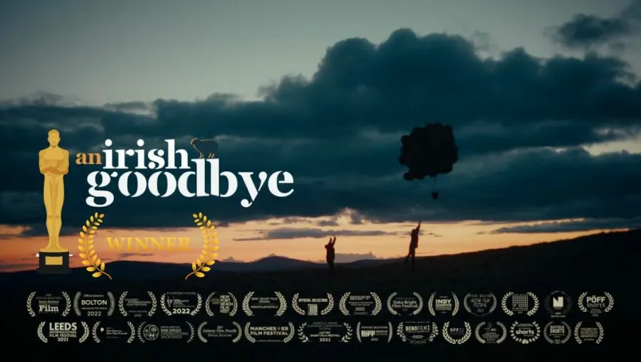 “Au revoir irlandais” Roars à Oscar Victory, Grâce à un peu d&rsquo;aide de C-3PO et un Mysterious Cat Hair!