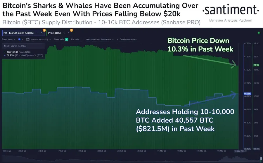 Bitcoin Prix Fall Ignite Huge “Buy The Dip” Moment pour les baleines comme BTC Hauteurs d&rsquo;accumulation