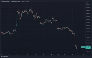 Bitcoin Price Likely to See Low-End Target Of $9,000 — Chief Market Strategist Warns