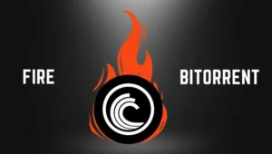 Feu pour rejoindre BTTC Chain Ecosystem, Enhancing Decentralized Ecologies