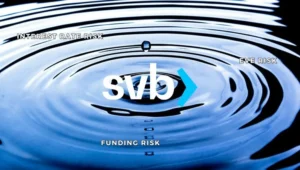 Risque de taux de danse mortelle d'intérêt, risque d'EE et risque de financement: La chute de la Banque de la Silicon Valley et les effets de départ de l'abus de capacité bancaire