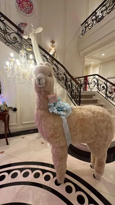 Paris Hilton s&rsquo;extasie sur un cadeau de naissance « géant » des Kardashian-Jenners : « Je le serre chaque jour »
