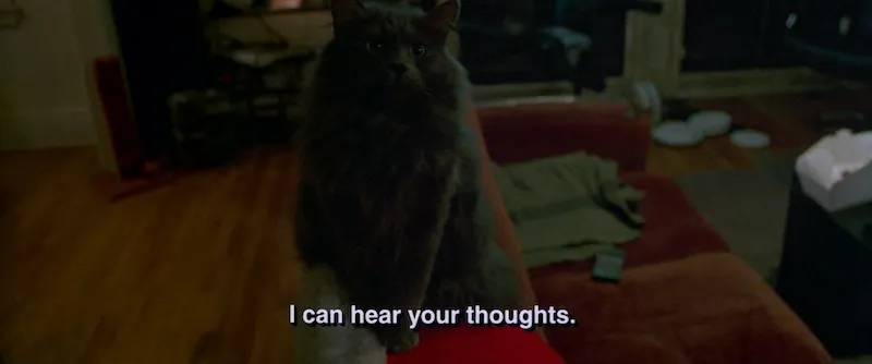 Les sous-titres sont en plein essor (et la technologie numérique en est la cause)